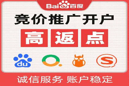 网络推广与竞价策略实战案例